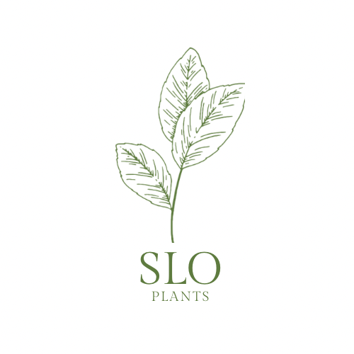 Slo Plants