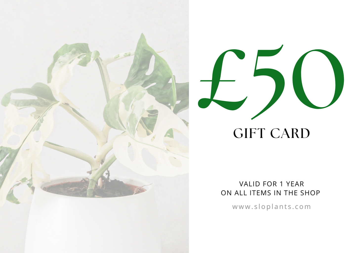 Plant e-Gift Card, Plant Gift Certificate, Plant Gift Ideas, Plant Gift for Her Plant Gift for Him Gift Idea for Plant Lovers Plant Mom Gift