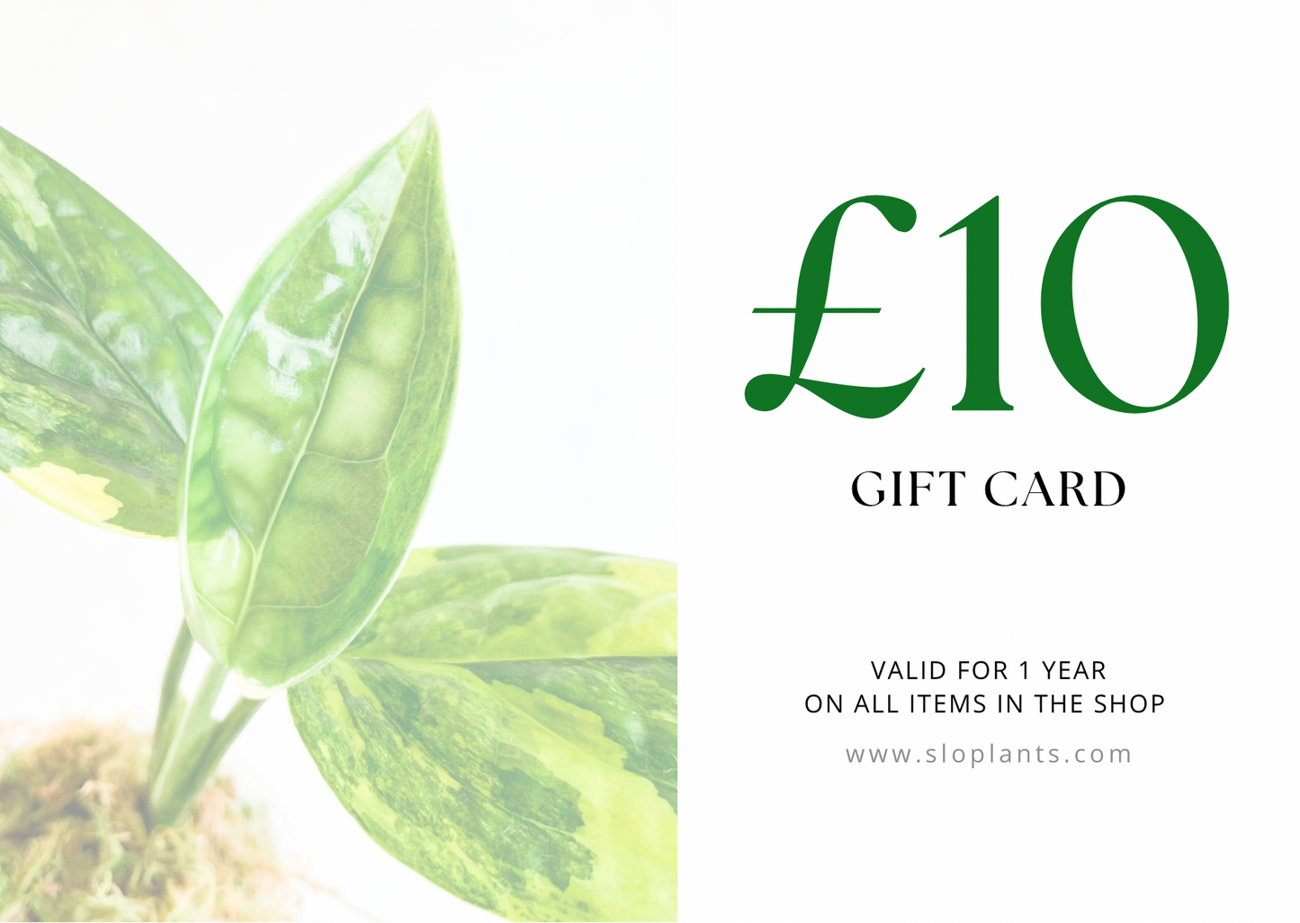 Plant e-Gift Card, Plant Gift Certificate, Plant Gift Ideas, Plant Gift for Her Plant Gift for Him Gift Idea for Plant Lovers Plant Mom Gift