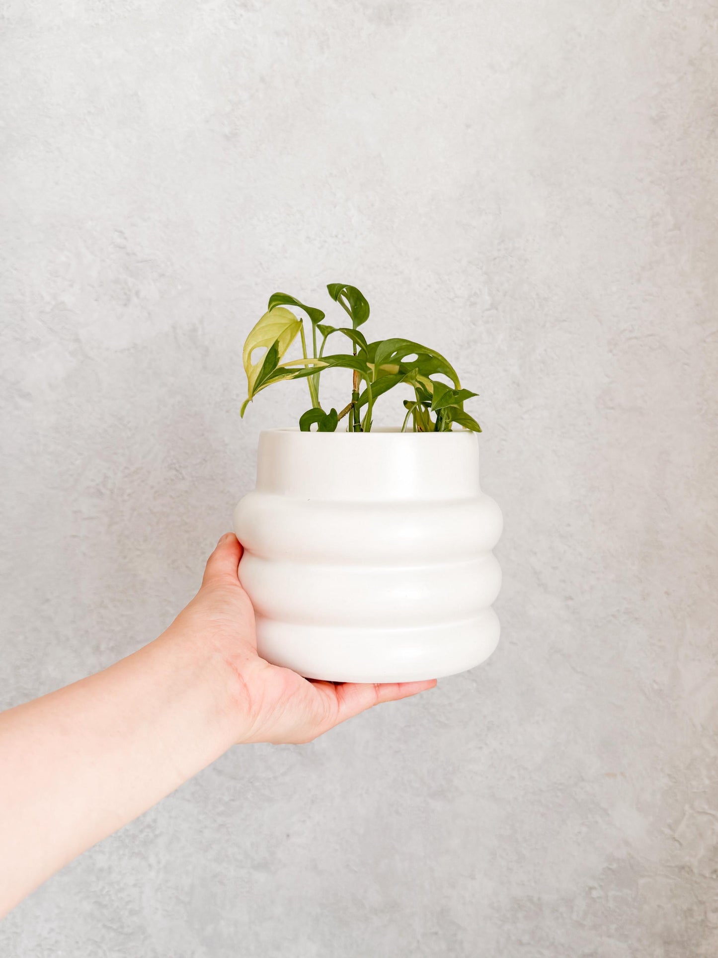 Modern Boho Ceramic Planter | horizontal ribbed planter,  white indoor pot for plants, propagation planter, cute plant pots, plant gift idea