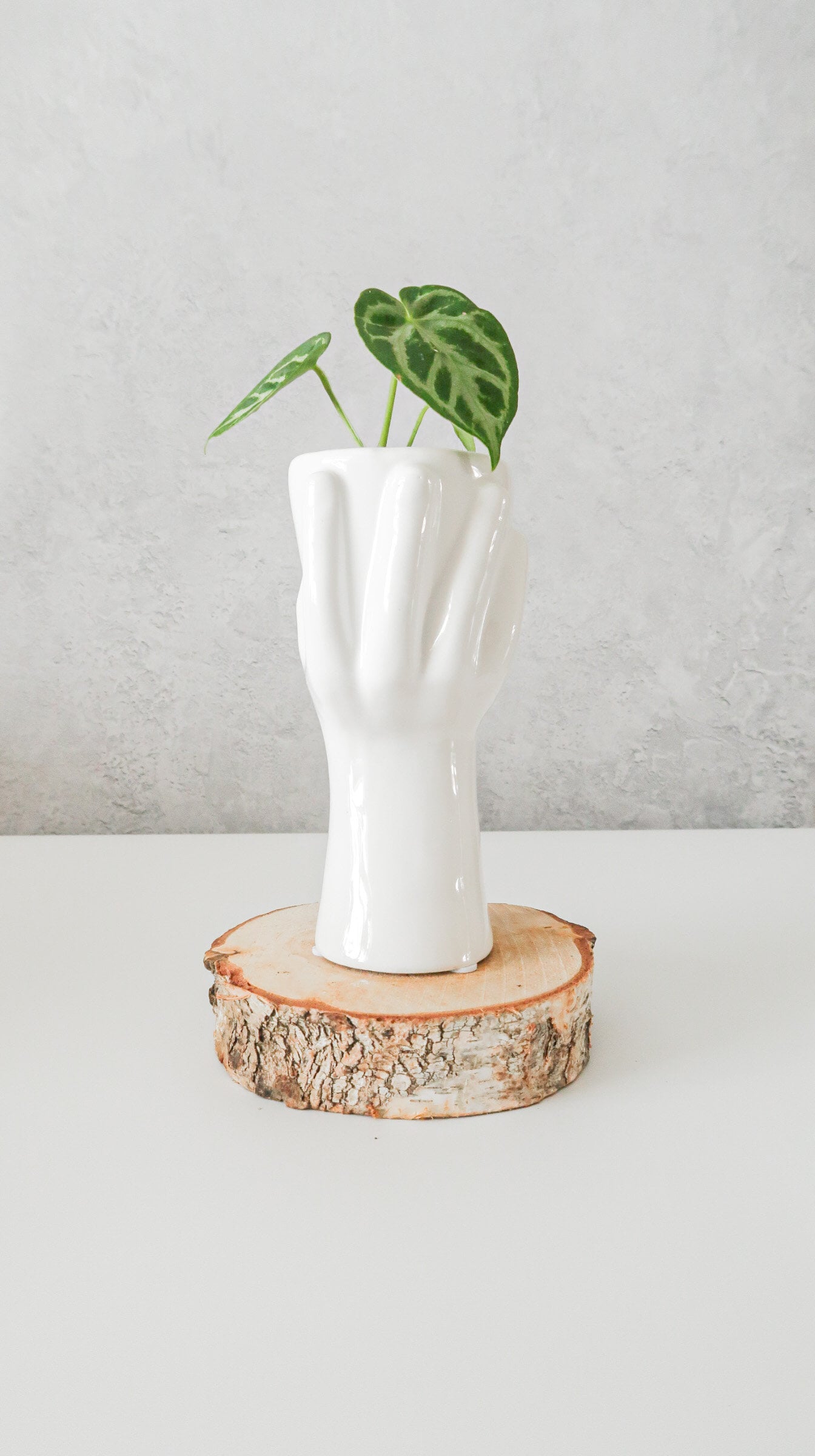 White Hand Ceramic Pot | 6cm pot , white ceramic pot, face minimalist pot, white minimalist planter, white decorative pot houseplant planter