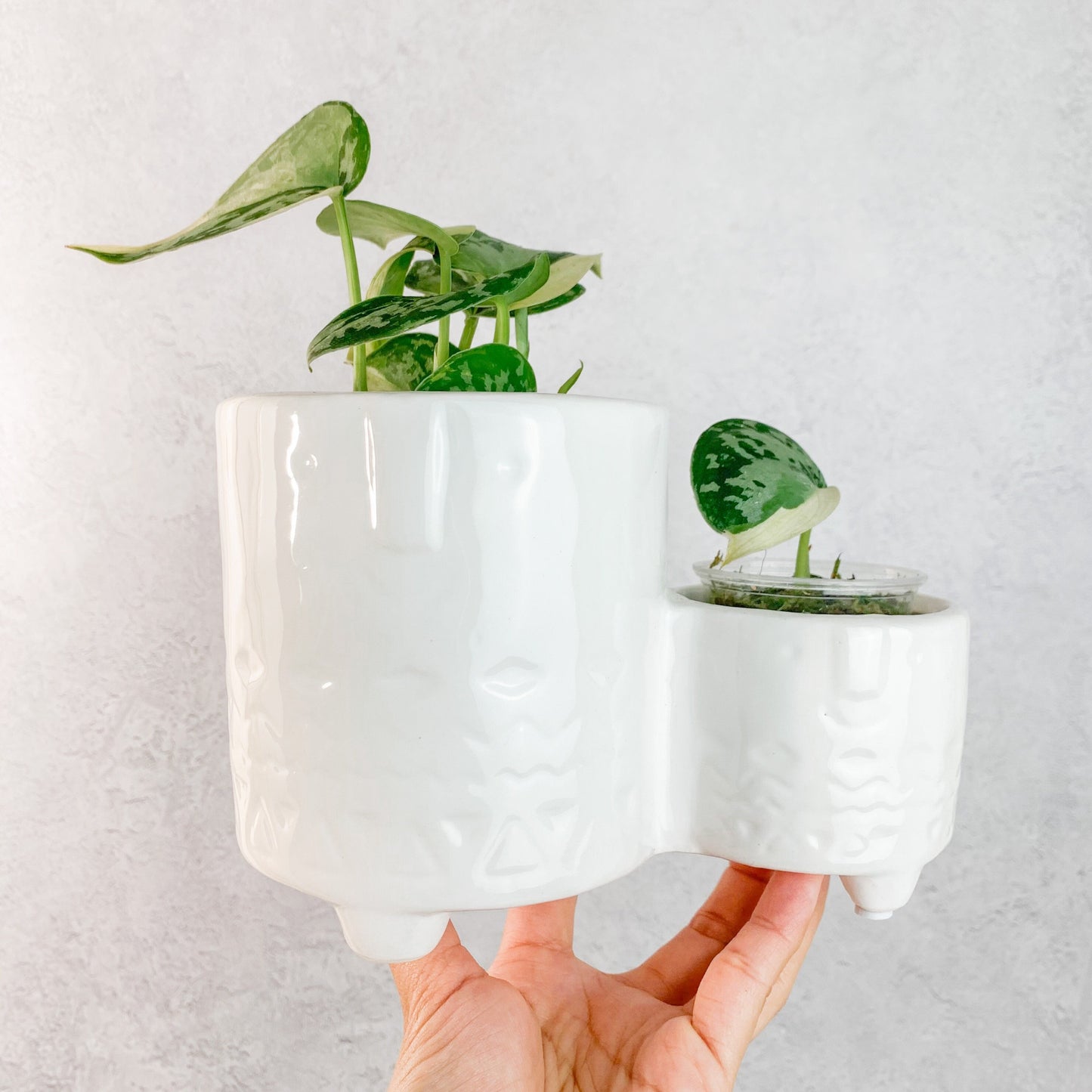 White Ceramic Pots for Plants | white indoor pot, 6cm mini pots, pots for succulents, cute plant pots, cute pots for house plants, mini pots